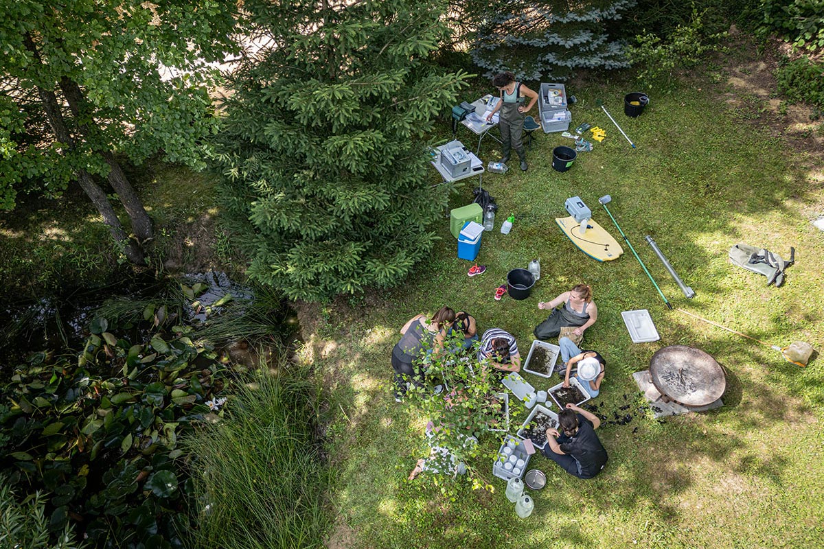 Biodiverzitás és Metaközösség-ökológia Kutatócsoport