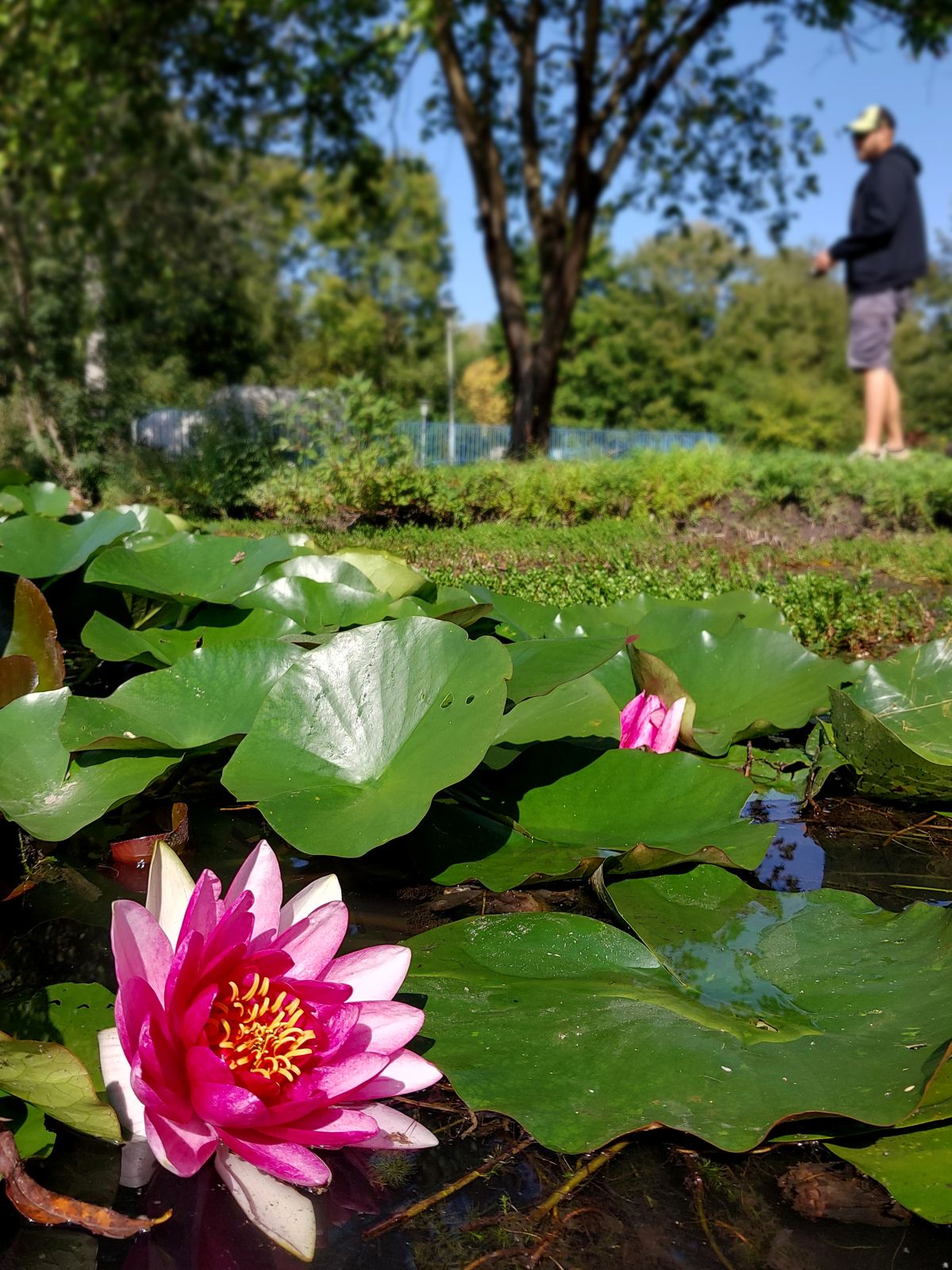 20230927 115406 vizililiom