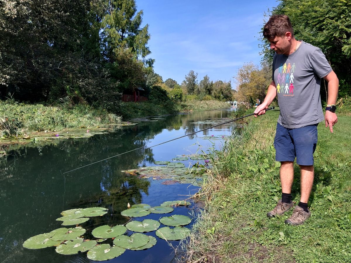 20231001 115551 peca 1200x900