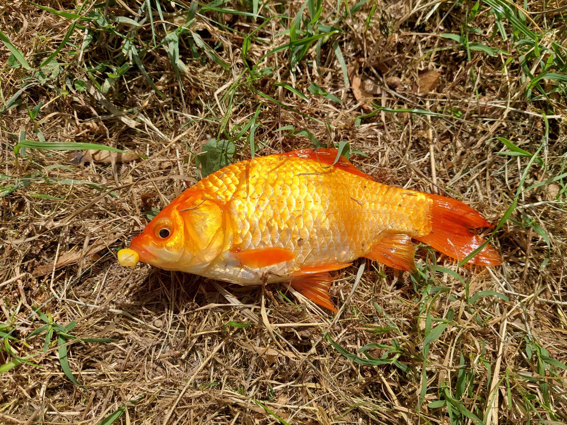 387638868 343240564745244 1239806017450249281 n