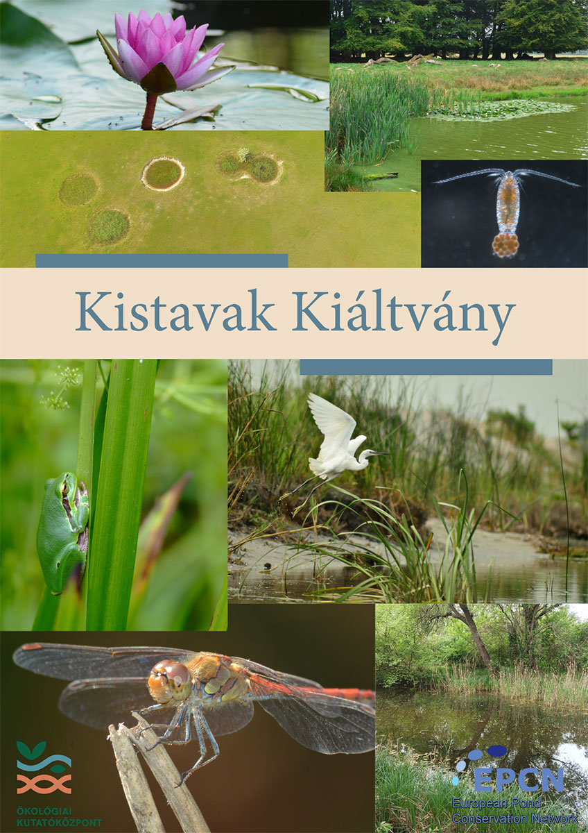 Kistavak Kiáltvány