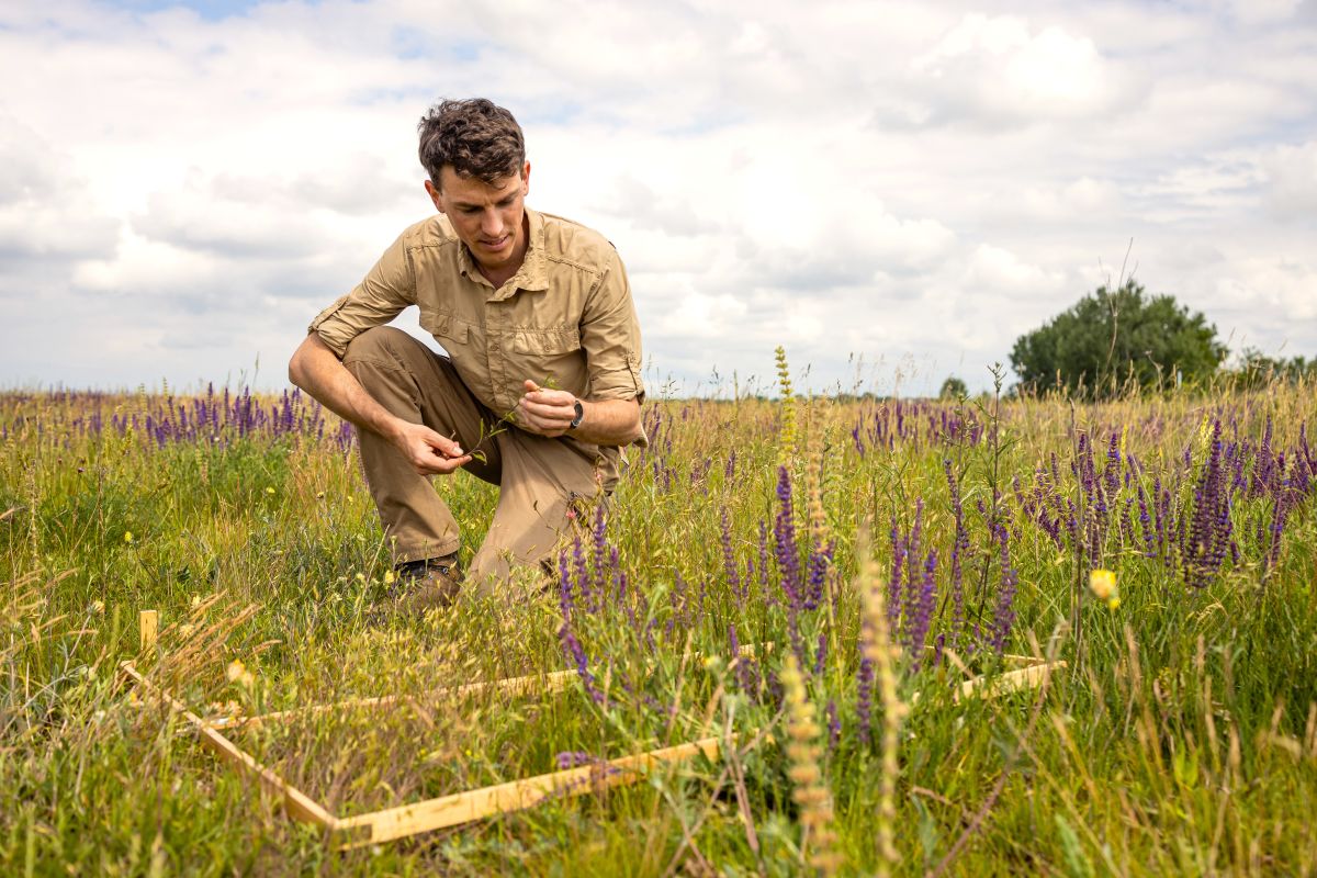 Bihaly Aron Ujsolt 2024 05 11 1200x800