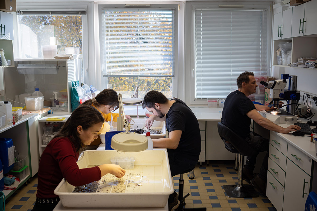 KomplexHidrobiologiaiLabor 3