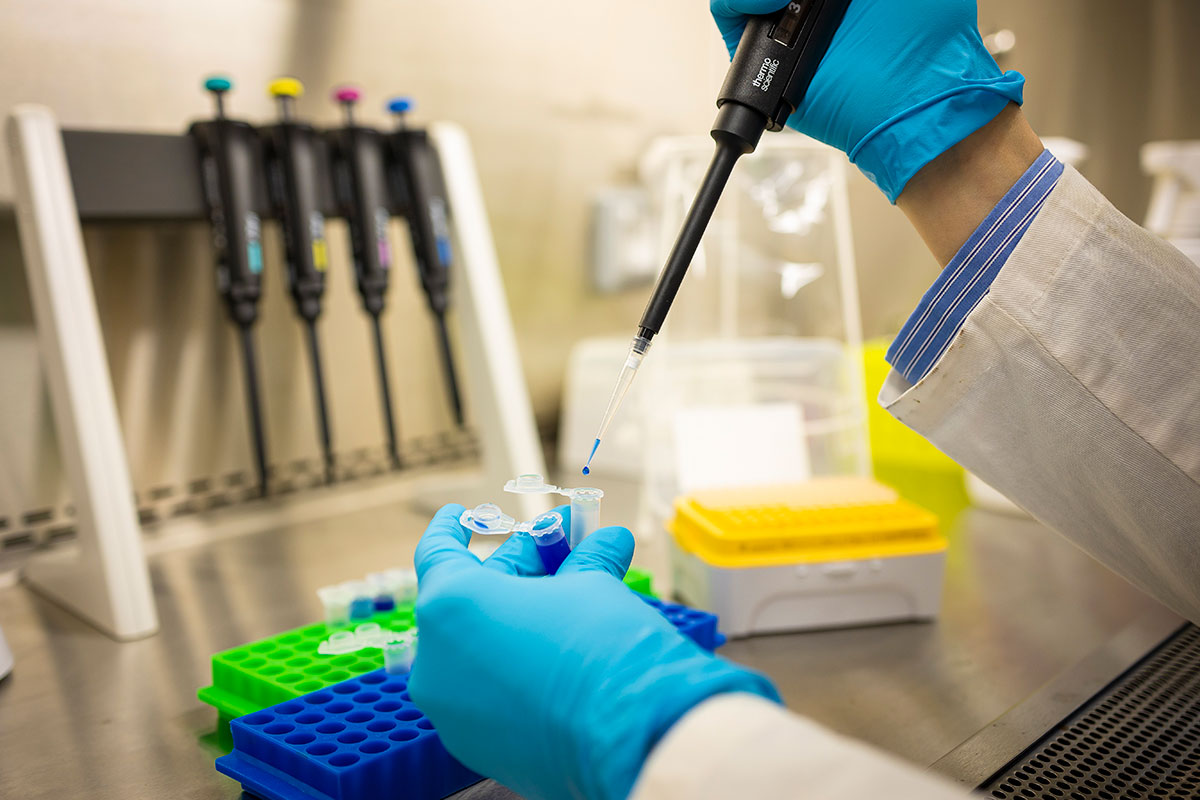 jaravanyokologia infrastruktura cover