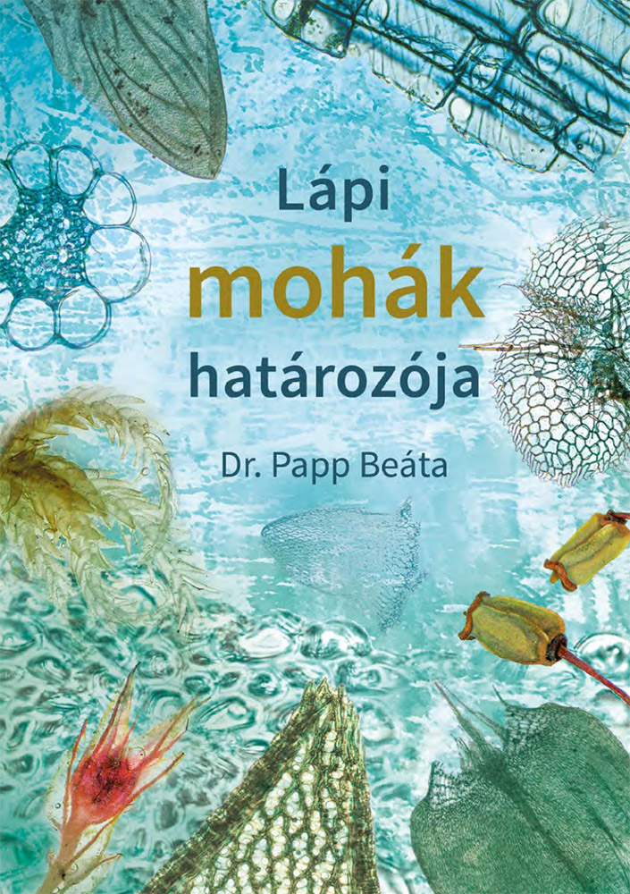 Lápi mohák határozója