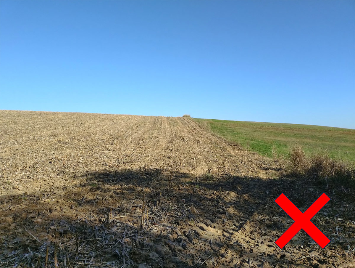 elelmiszer termesztett novenyek 1