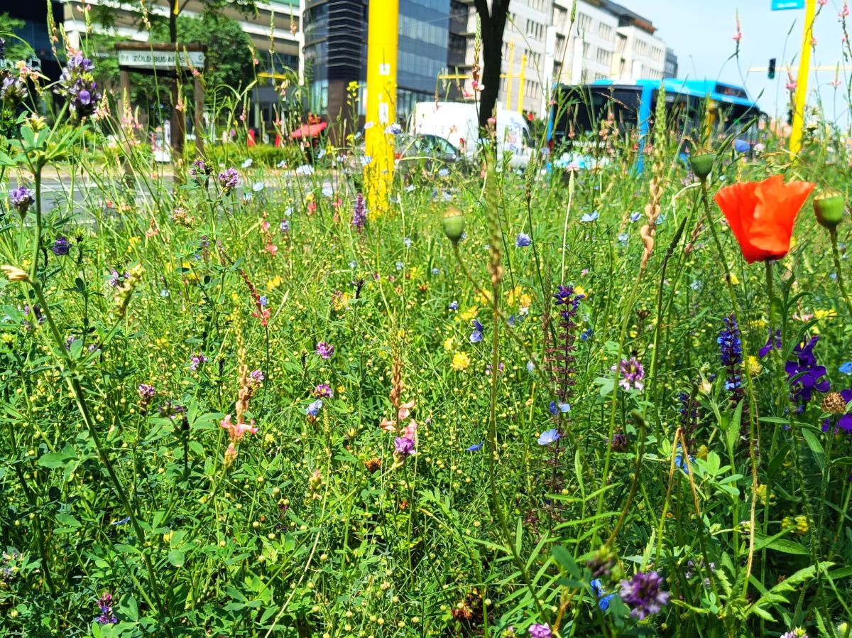 1 divflow csokkentett