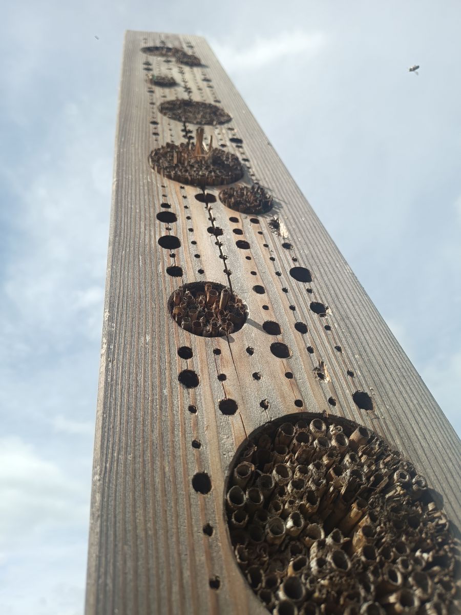 IMG 20240507 153604 938 csokkentett