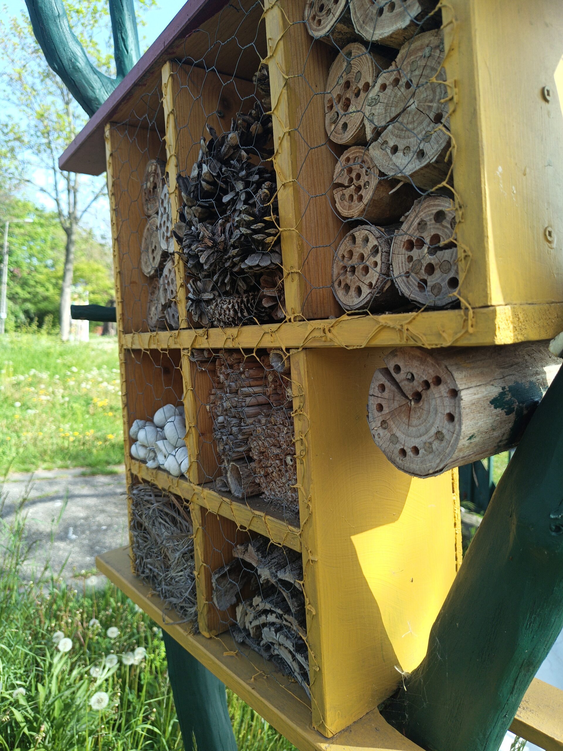 IMG 20250422 091624 csokkentett scaled