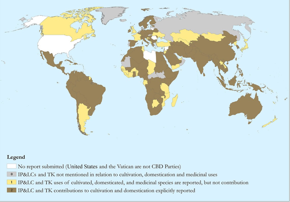 cobi70205 fig 0002 m