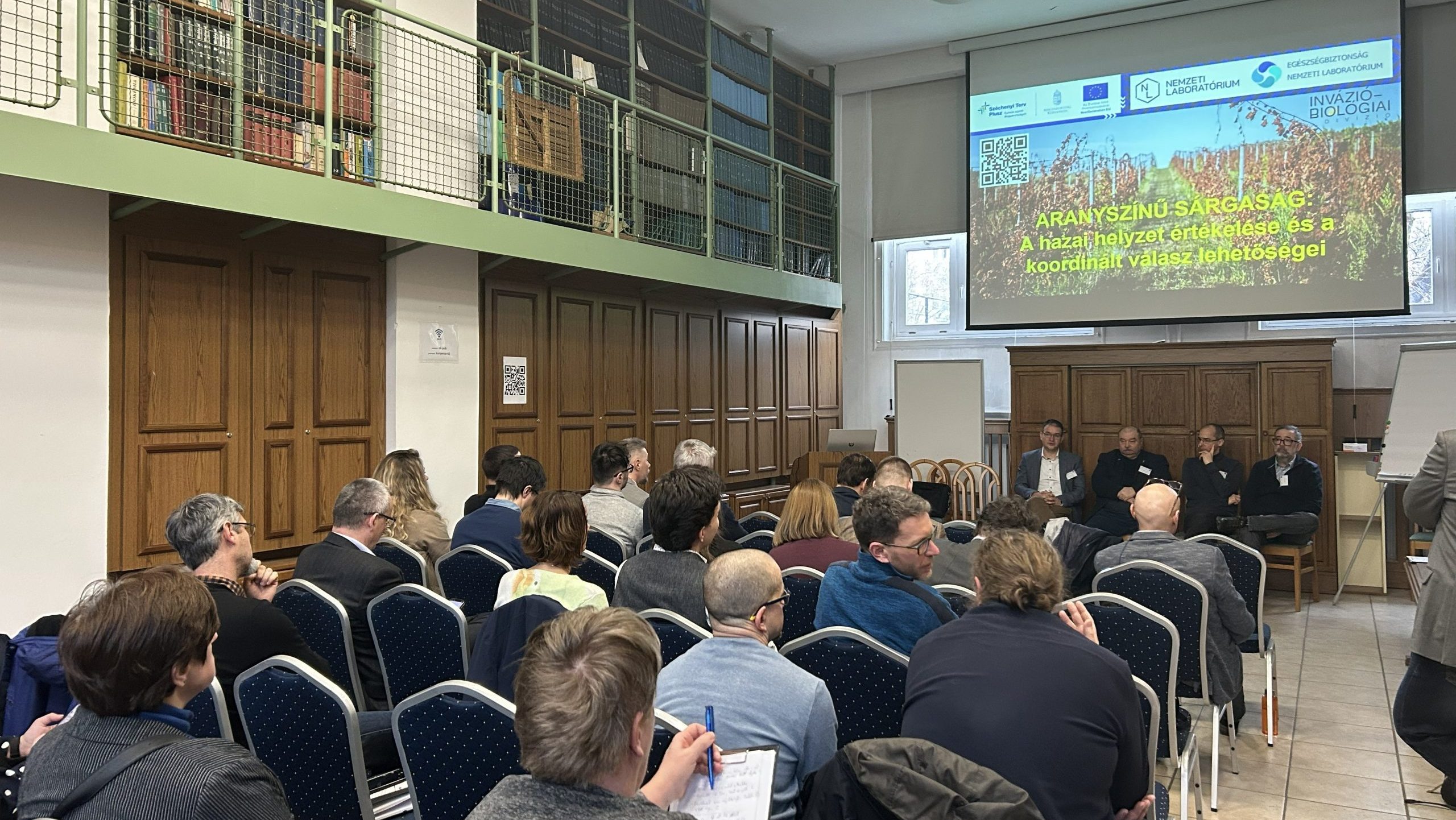 Aranyszinu sargasag panel teljes terem scaled e1770403397443