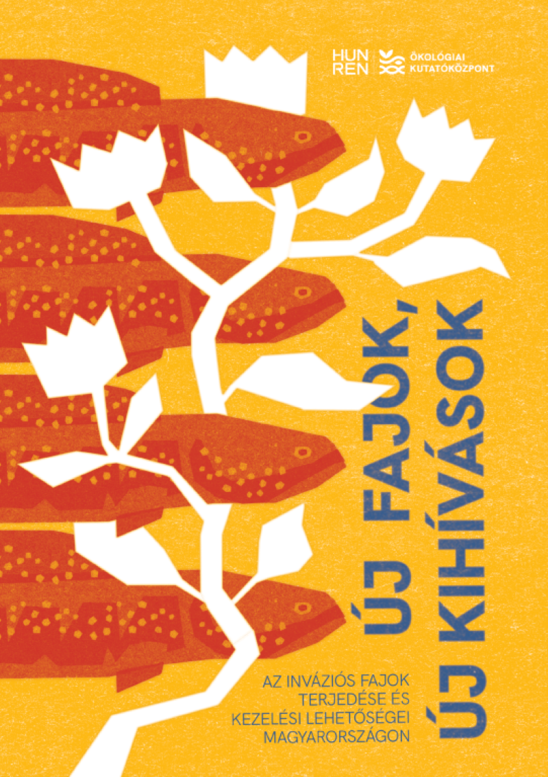 invazios kiadvany borito