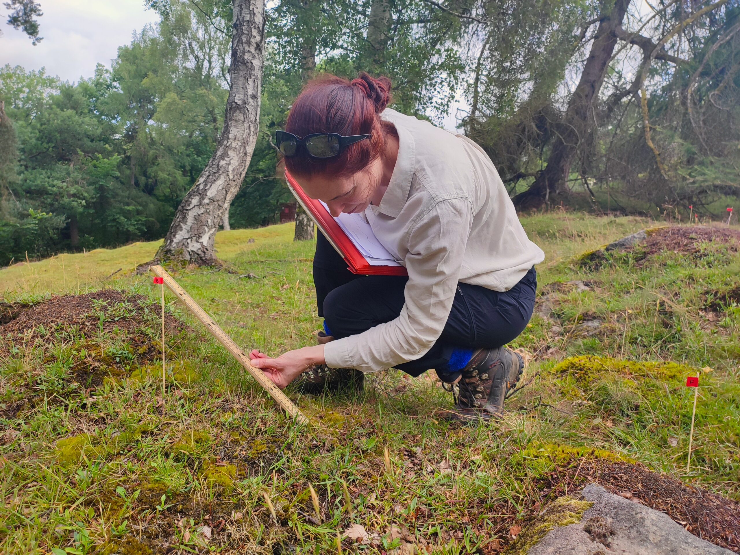 2023 07 12 10.56.15 scaled