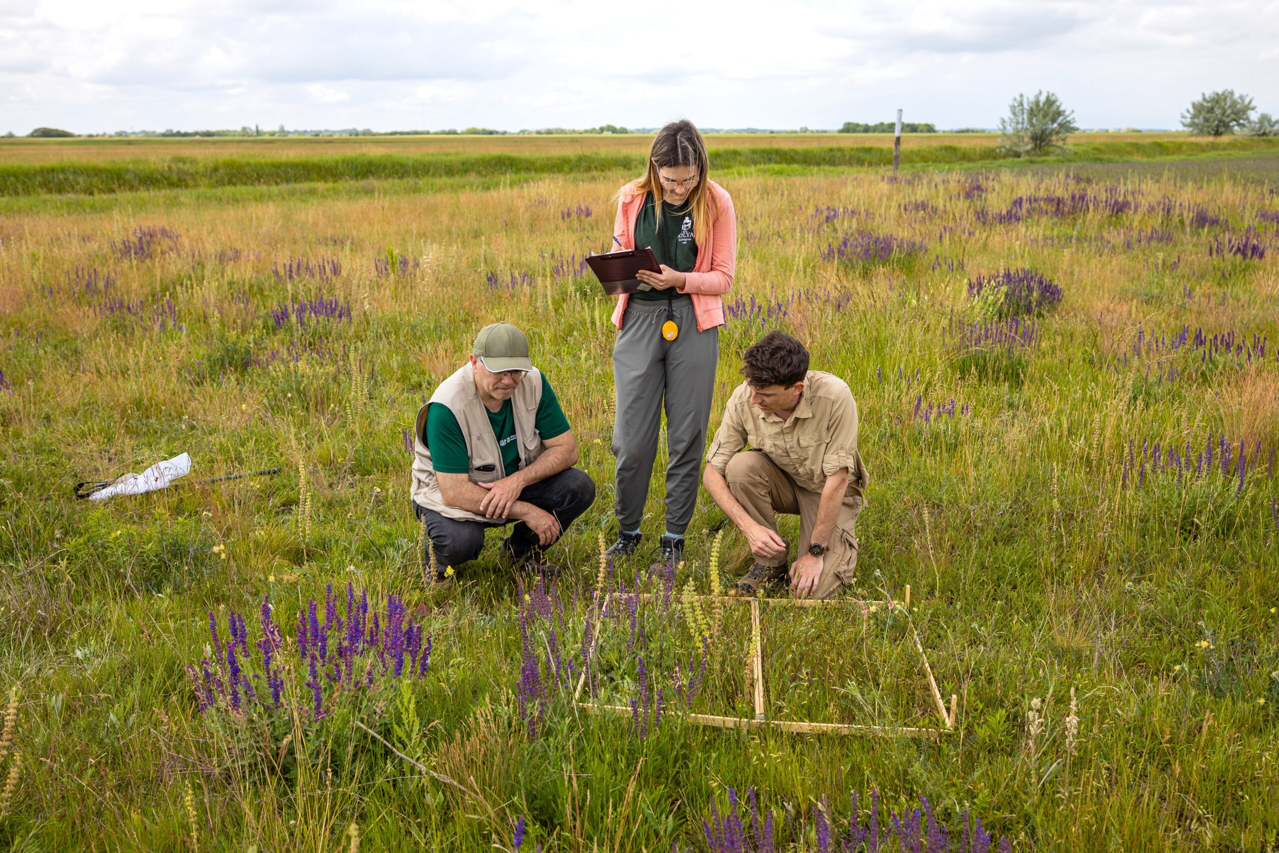 Ujsolt 2024 02 10 1200x800 scaled