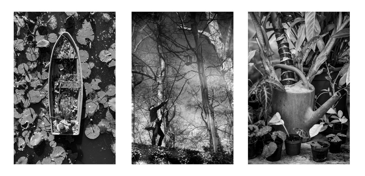 A botanikus kert elete