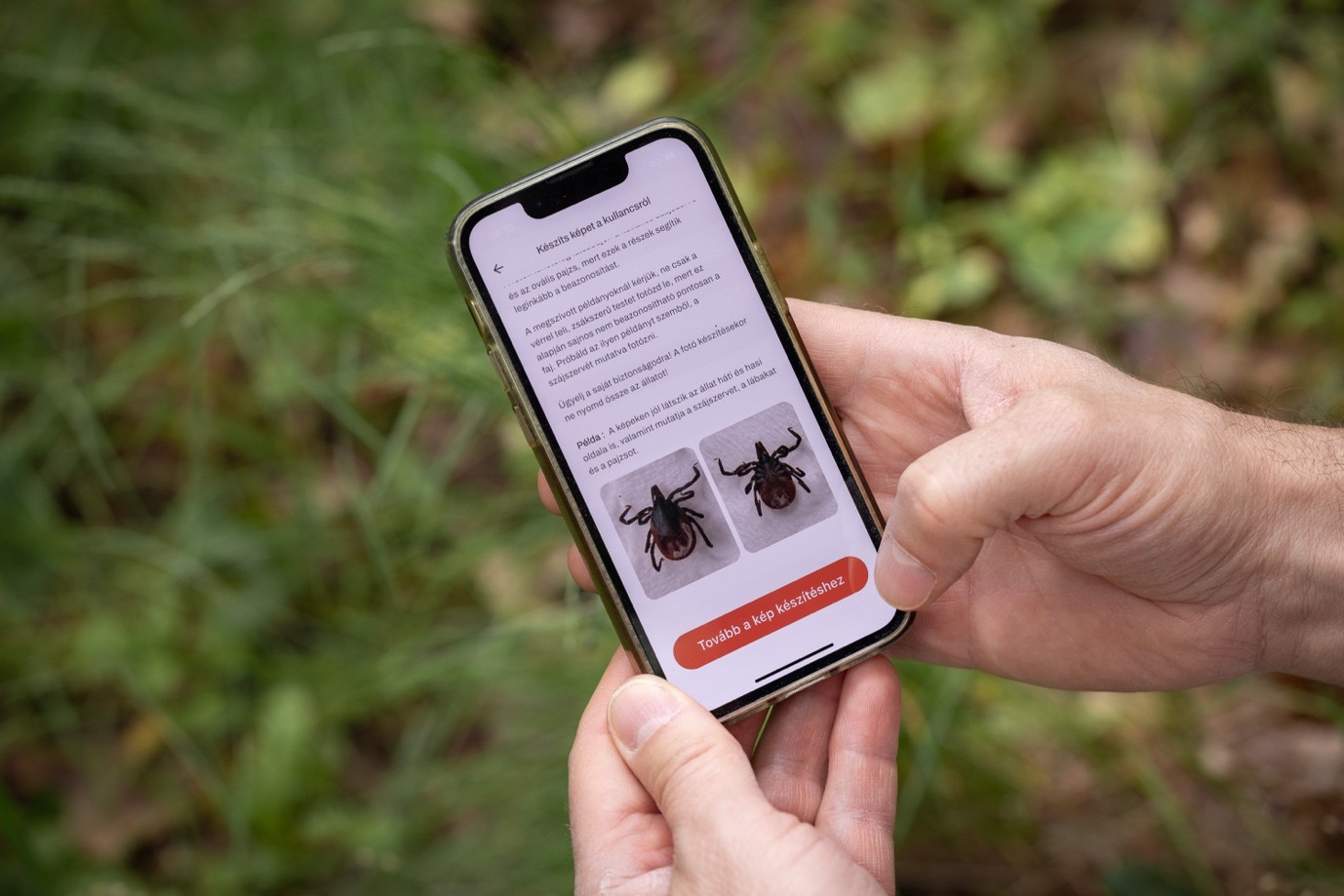 PragmaTick alkalmazas foto