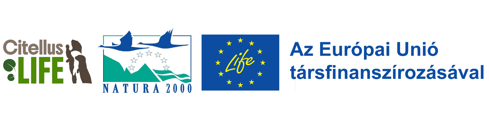 citellus logosor