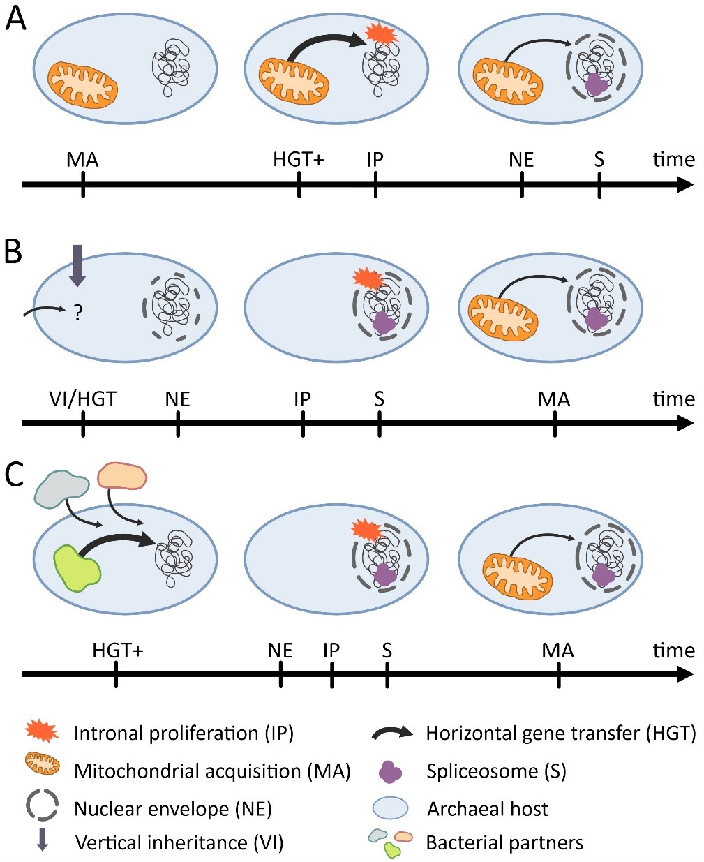 illusztracio 2 a Zachar cikkhez