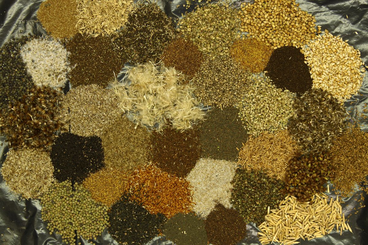 6 diverz magkeverek Miglecz Tamas masolata