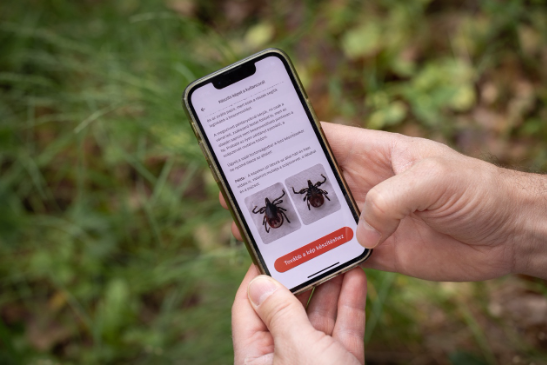Pragmatick App