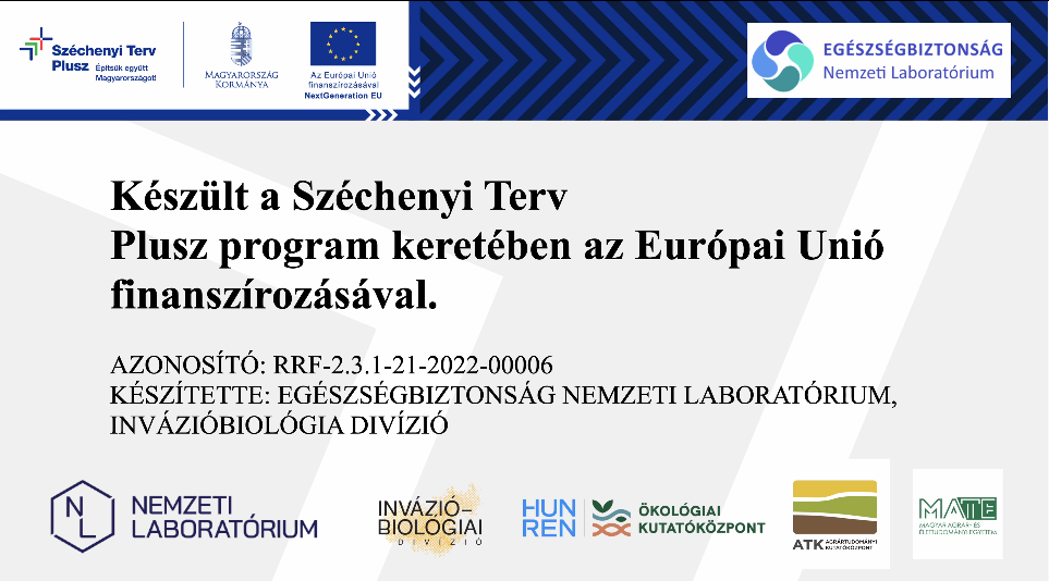 Amerikabol jottem Mosomedve gondok Megallithatatlan termeszet utoldo kepkocka jo e1790949929158